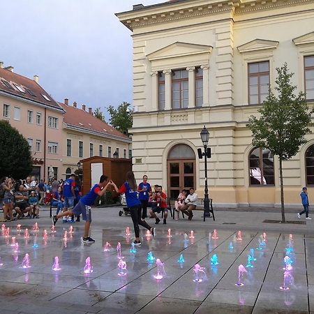 Veronica Apartman Székesfehérvár 外观 照片